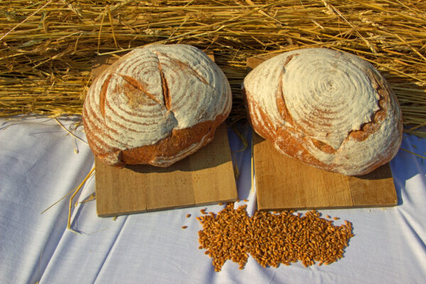 Brood uit Dopers graan
